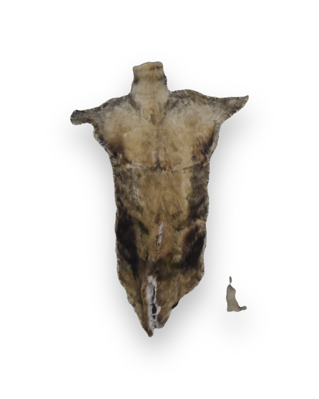 Torso of Imperfection